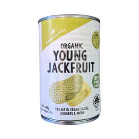 Ceres Young Jackfruit 400g