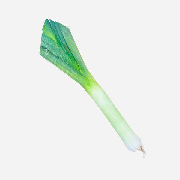 Leek