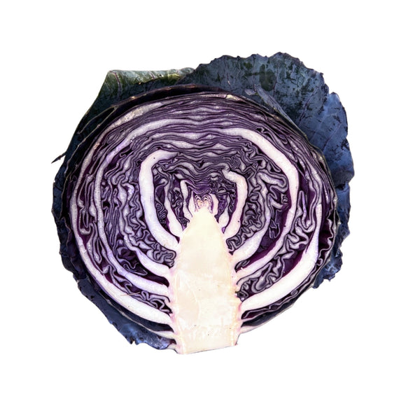 Cabbage Red