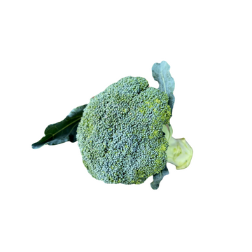 Broccoli