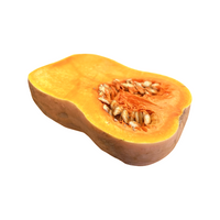 Pumpkin Butternut