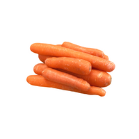 Carrots Juicing