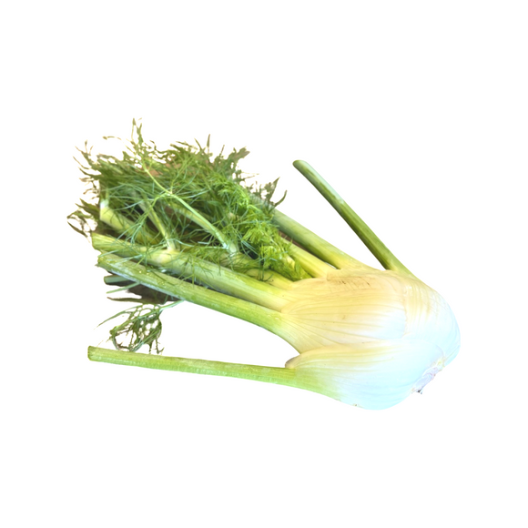 Fennel
