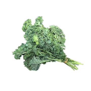 Kale Green Bunch
