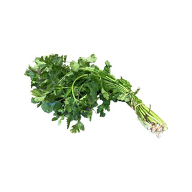 Coriander Bunch