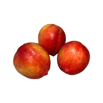 Nectarine each