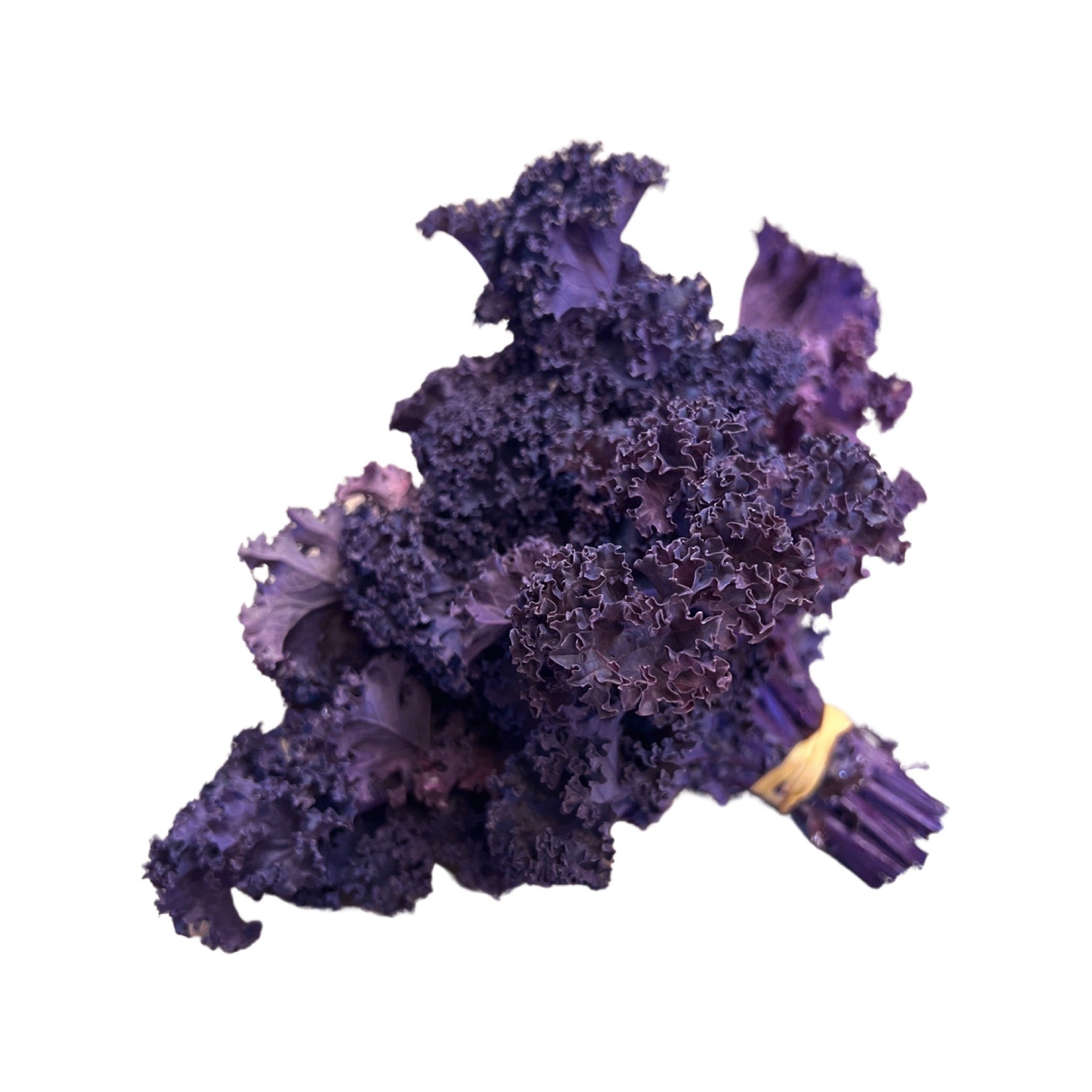 Kale Purple Bunch | Dunn & Walton | Organic Food Perth